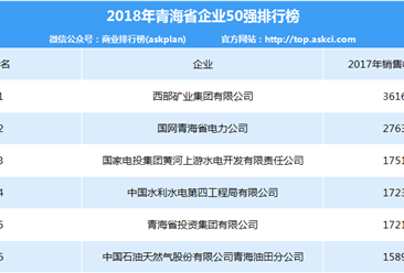 2018年青海省企業50強排行榜