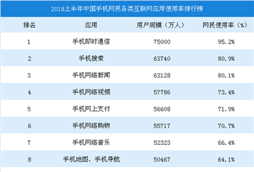 2018年上半年中国手机网民各类互联网应用使用率排行榜