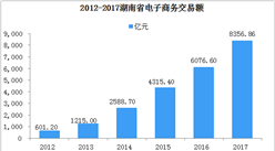 湖南省電子商務發展分析：2017年網絡零售額同比增長40.78%