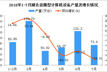 2018年1-7月湖北省微型计算机设备产量同比下降28.62%
