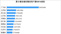 2018年微信城市用戶數(shù)TOP10省份排行榜