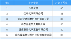 2017年中國聚醚多元醇生產企業產能排行榜
