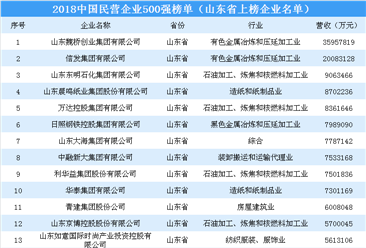 2018年中国民营企业500强排行榜（山东省上榜企业名单）