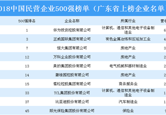2018年中国民营企业500强排行榜（广东省上榜企业名单）