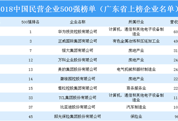 2018年中国民营企业500强排行榜（广东省上榜企业名单）