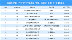 2018年中国民营企业500强排行榜（湖北省上榜企业名单）