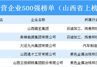 2018年中国民营企业500强排行榜（山西省上榜企业名单）