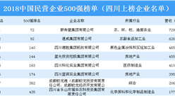 2018年中国民营企业500强排行榜（四川省上榜企业名单）