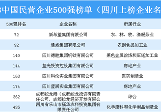 2018年中国民营企业500强排行榜（四川省上榜企业名单）