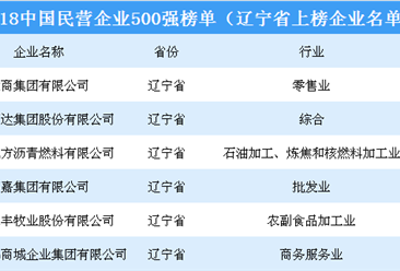 2018年中国民营企业500强排行榜（辽宁省上榜企业名单）