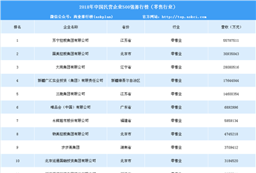 2018年中国民营企业500强排行榜（零售行业）