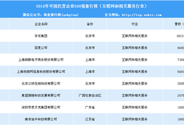 2018年中国民营企业500强排行榜（互联网和相关服务行业）