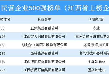 2018年中国民营企业500强排行榜（江西省上榜企业名单）
