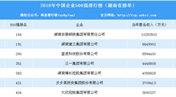 2018年中国企业500强排行榜（湖南篇）