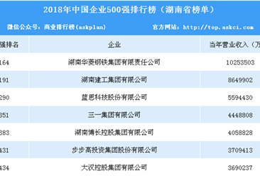 2018年中国企业500强排行榜（湖南篇）