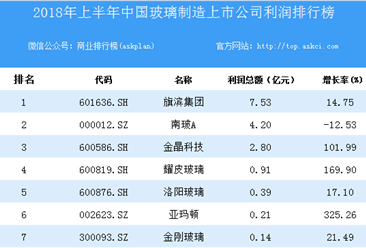2018上半年中国玻璃制造上市公司利润排行榜