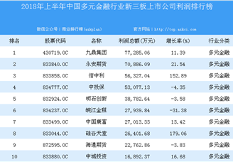 2018年上半年中国多元金融行业新三板上市公司利润排行榜