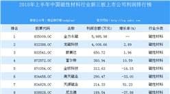2018年上半年中国磁性材料行业新三板上市公司利润排行榜