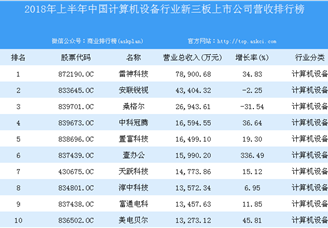 2018年上半年中国计算机设备行业新三板上市公司营收排行榜TOP100