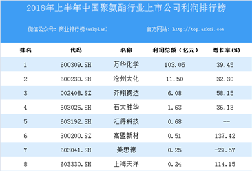 2018上半年中国聚氨酯行业上市公司利润排行榜
