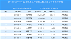 2018年上半年中國文娛用品行業新三板上市公司營收排行榜