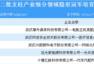 湖北省第二批支柱产业细分领域隐形冠军培育