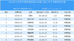 2018年上半年中国终端设备行业新三板上市公司营收排行榜