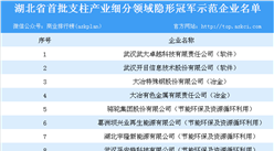 2018年湖北省首批支柱产业细分领域隐形冠军示范企业名单一览