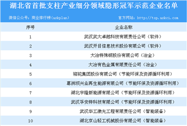 2018年湖北省首批支柱产业细分领域隐形冠军示范企业名单一览