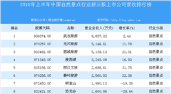 2018年上半年中国自然景点行业新三板上市公司营收排行榜