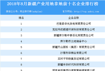 2018年8月新疆产业用地拿地前10名企业排行榜