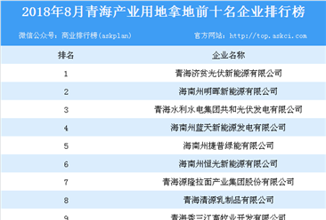 2018年8月青海产业用地拿地前10名企业排行榜