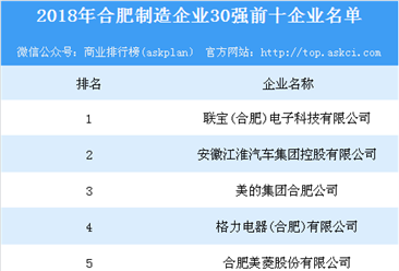 2018年合肥制造业企业30强排行榜