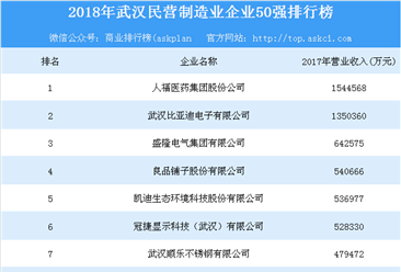 2018年武汉民营制造业企业50强排行榜