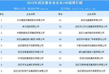 2018年武汉服务业企业100强排行榜