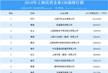 2018年上海民营企业100强排行榜