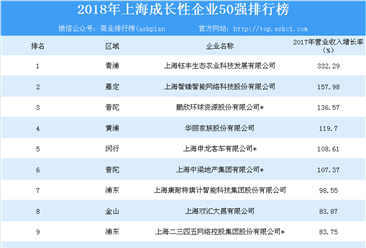 2018年上海成长性企业50强排行榜