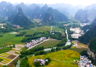 产业招商地图：中央一号文件再提乡村振兴 乡村振兴企业布局分析（图）