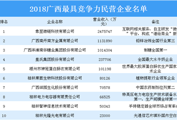 2018广西最具竞争力民营企业名单出炉：象翌微链科技等企业上榜（附详细名单）