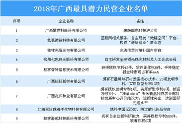 2018年广西最具潜力民营企业名单出炉：博世科榜上有名（附名单）