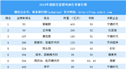 2018年胡润百富锂电池行业排行榜（附全榜单）