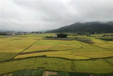 乔惠民:“田园才子”计划助力乡村振兴