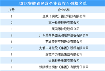 2018年安徽省民营企业营收百强榜名单出炉（附完整榜单）