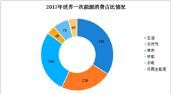 一文看懂2018年全球及中國天然氣行業消費及現狀分析（圖表）