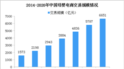 2020年母嬰電商市場規模超6000億 綜合性母嬰電商占據半壁江山（圖）