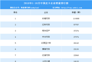 2018年1-10月中国皮卡企业销量十强排行榜