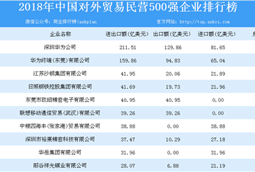 2018年中国对外贸易民营500强企业排行榜