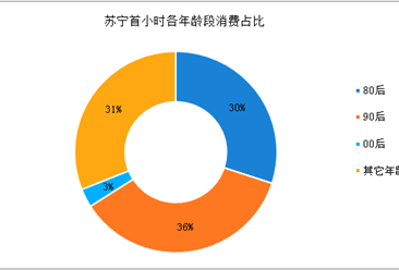 苏宁发布双12首小时战报：上海荣获“剁手之都”