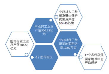 贵州省第四届大健康医药产业发展大会召开  苗药是健康医药产业发展重点（图）
