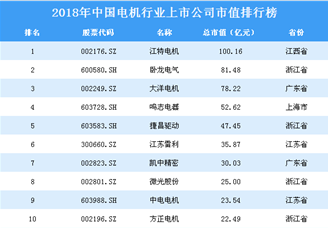 2018年中国电机行业上市公司市值排行榜